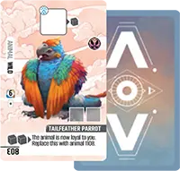 Standard card